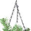 Christmas Decorative Accent