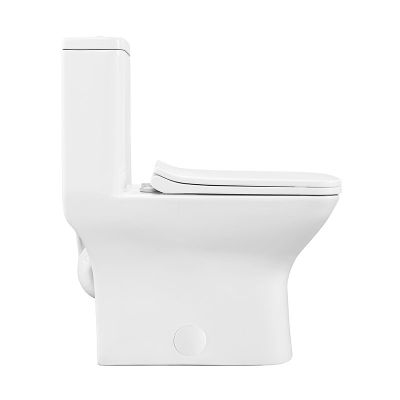 Toilette carrée une pièce à double chasse 1,1 / 1,6 gallon Carre, Blanc brillant