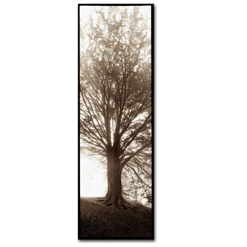 Alan Blaustein «Hampton Gates Tree No. 1», reproduction de photo sur toile tendue, H 32 po x l 10 po x P 2 po