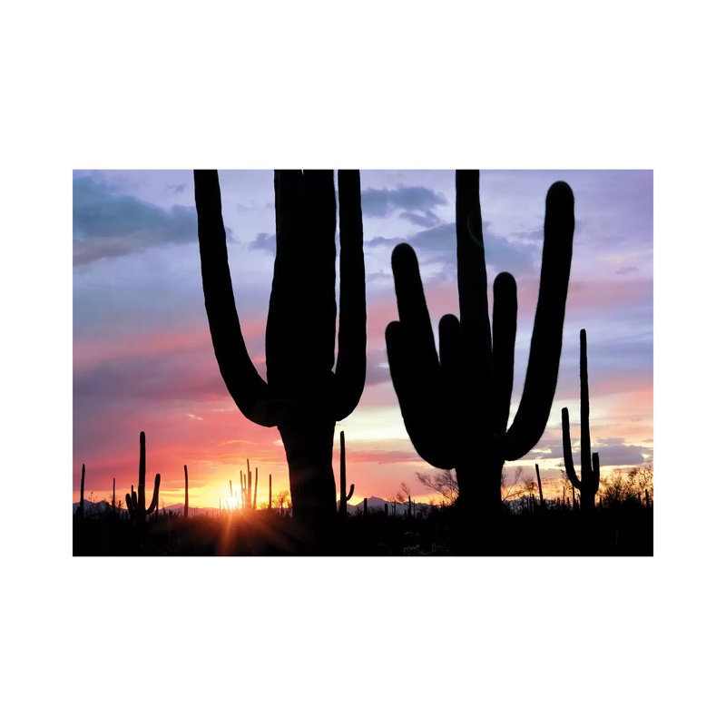 Saguaro Sunset 1 Piece Wall Art on Canvas, 20.32cm H x 30.48cm W x 1.91cm D, Wrapped Canvas