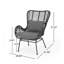 Chaise de patio en osier avec coussins Tapscott (ensemble de 2)-145943669