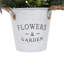 Plant-844181597