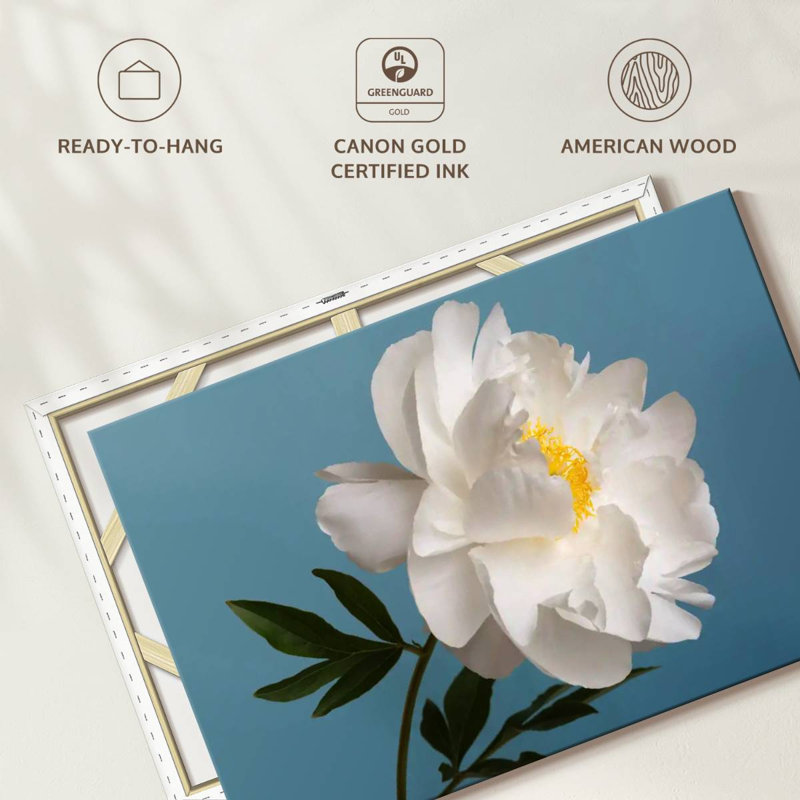 Fleur de pivoine blanche Harnek