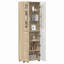 Tamoor Manufactured Wood Wardrobe-2135957675