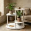 Support à plante à 3 niveaux pour l'intérieur et l'extérieur, tablette à plusieurs niveaux pour plantes, décor et objets de collection