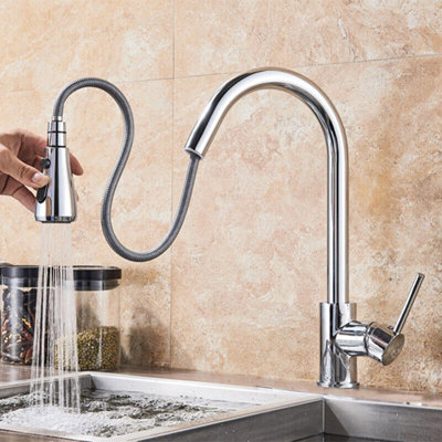 Belfry Kitchen Bauerle Pull Out Kitchen Faucet