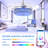 Zahnya 42'' Ceiling Fan with LED Lights-684725924