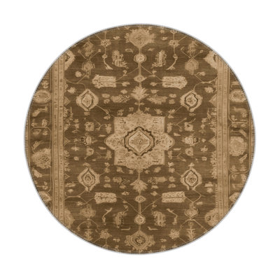 Tapis intérieur et extérieur brun Overdyed