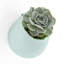 Pot de fleurs mural en plastique-734562130-775102554