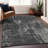 Premium Machine Washable Prisco Black Rug-1397417895
