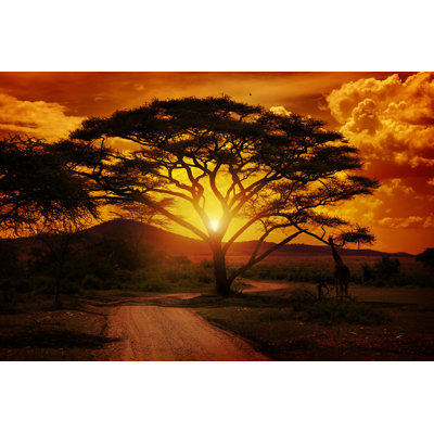 Africa Sunset - Wrapped Canvas Print