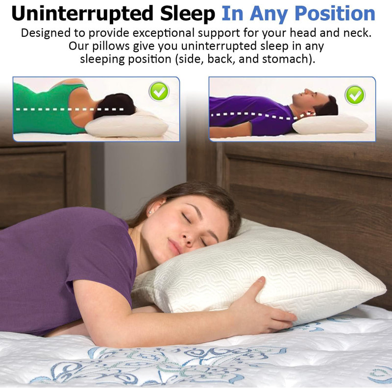 King Size White Memory Foam Plush Support Pillow Set
