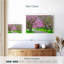 Chemin Harnek Sakura-107680686