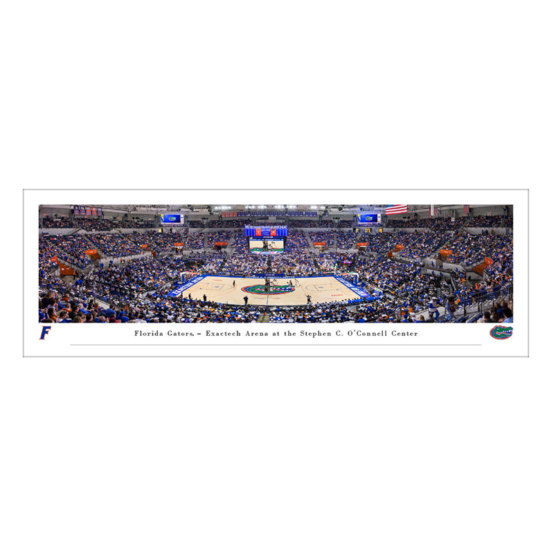 Bruner - Florida Gator Basketball- Unframed Print