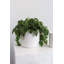 Parsons Handmade Ceramic Pot Planter-1115264673-1115264675