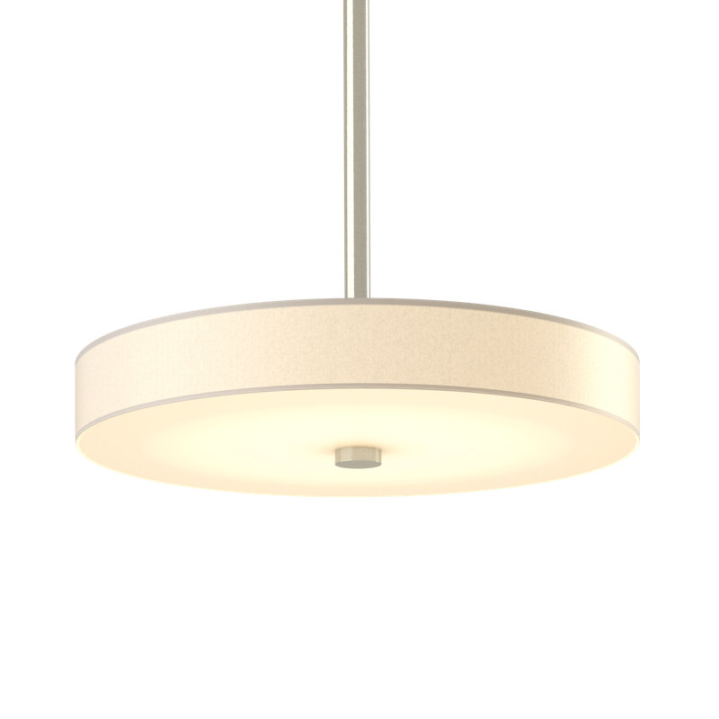 Luminaire suspendu cylindrique à 1 lumière DEL Disq, Standard: 9,2 po à 51,2 po, Argenté