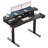 Adjustable Electric Standing Desk with Double Drawers, 48"x24" Sit Stand Up Desk with Storage Shelf, 3 Memory Presets, for Home Office-381502372-381502375