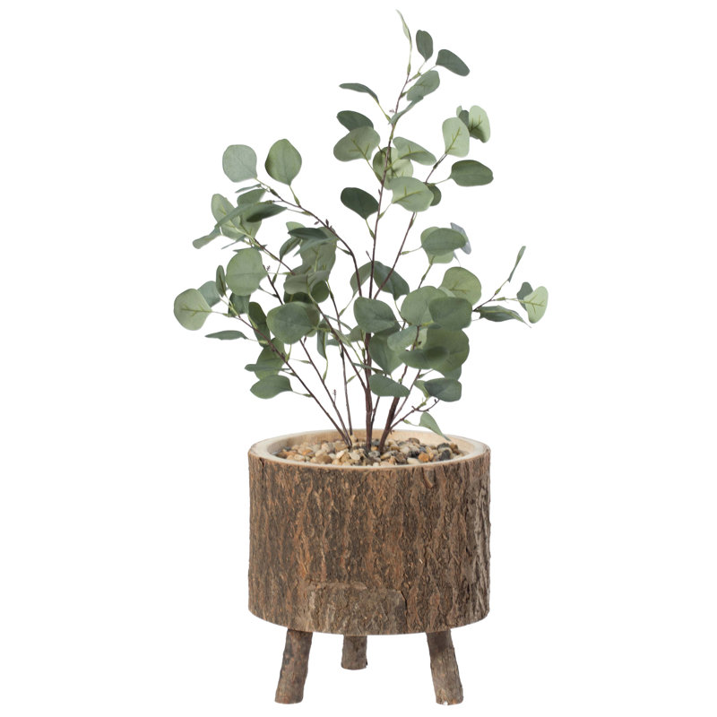 Pauly Wood Pot Planter