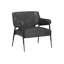 Vidyuth Lounge Chair