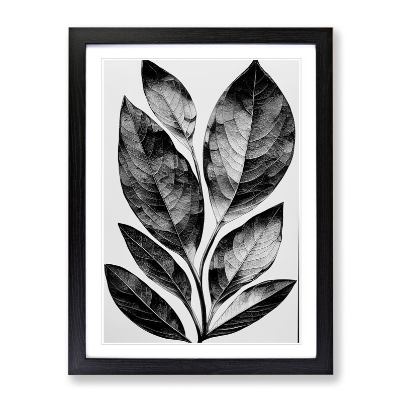A Monochrome Leaves No.2 - Wall Art, Black Framed, 34cm H x 25cm W x 2cm D, White