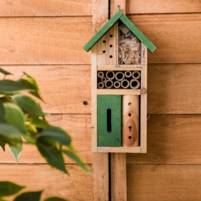 Magana Mounted Butterfly House