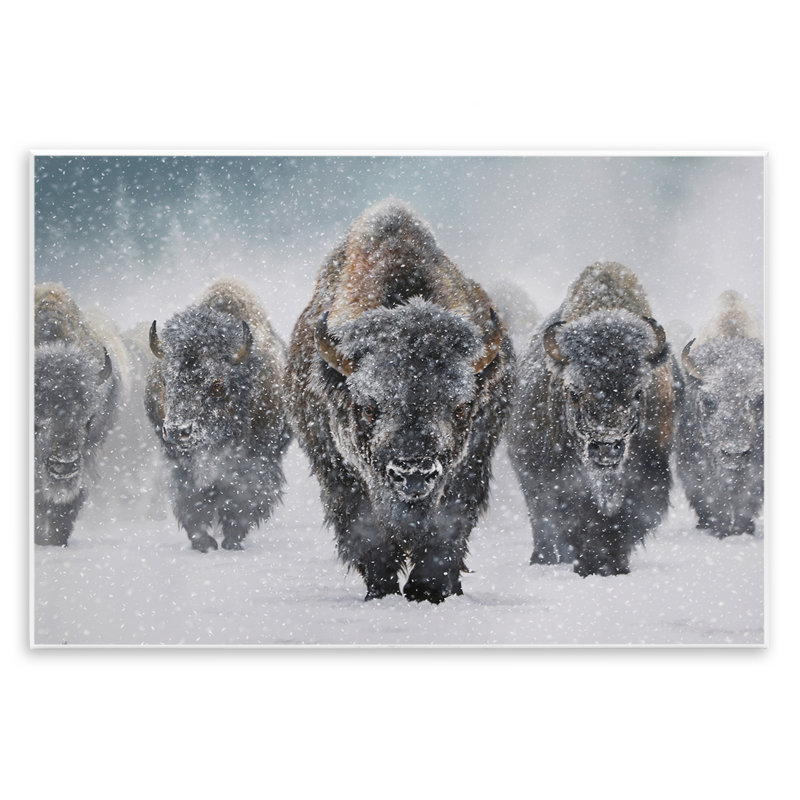 Art mural indomptable «Bison in Snow» par Mark Kelso, H 13 po x l 19 po