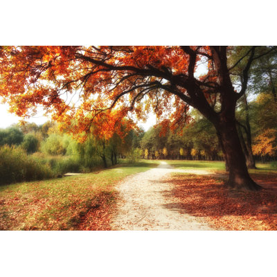 Large Oak Tree - Wrapped Canvas Print