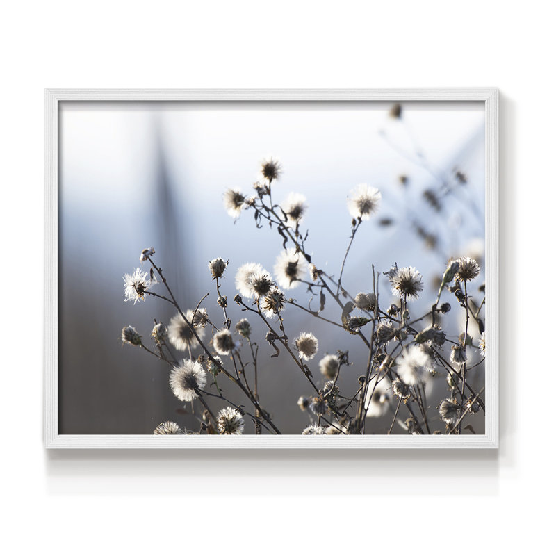 Spring Fluff -Framed Print - Restickable, 16" H x 20" W, White