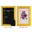 Antique Tulip Study III " Antique Tulip Study III "-859278860-859304438