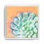 « réveil iv », impression sur toile succulent-1573695916-1573695923