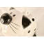 Cat Toilet Brush Holder