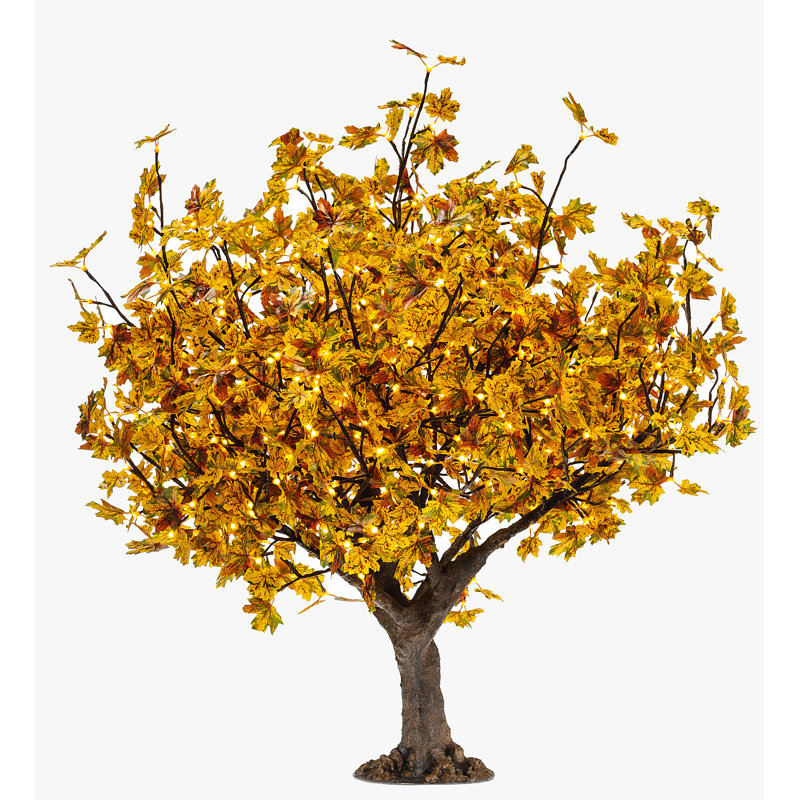 Arbre lumineux d’érable d’automne