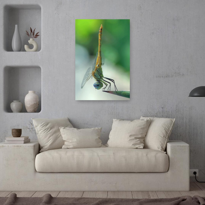 Blue Eyed Dragonfly Delicate Abstract Contemporary Dragonfly Nature Plant Wall Art Print by Thierry Dufour - Print