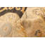Tapis décoratif beige/brun en laine de conception unique 4 pi 10 po x 6 pi 8 po noué à la main New Age