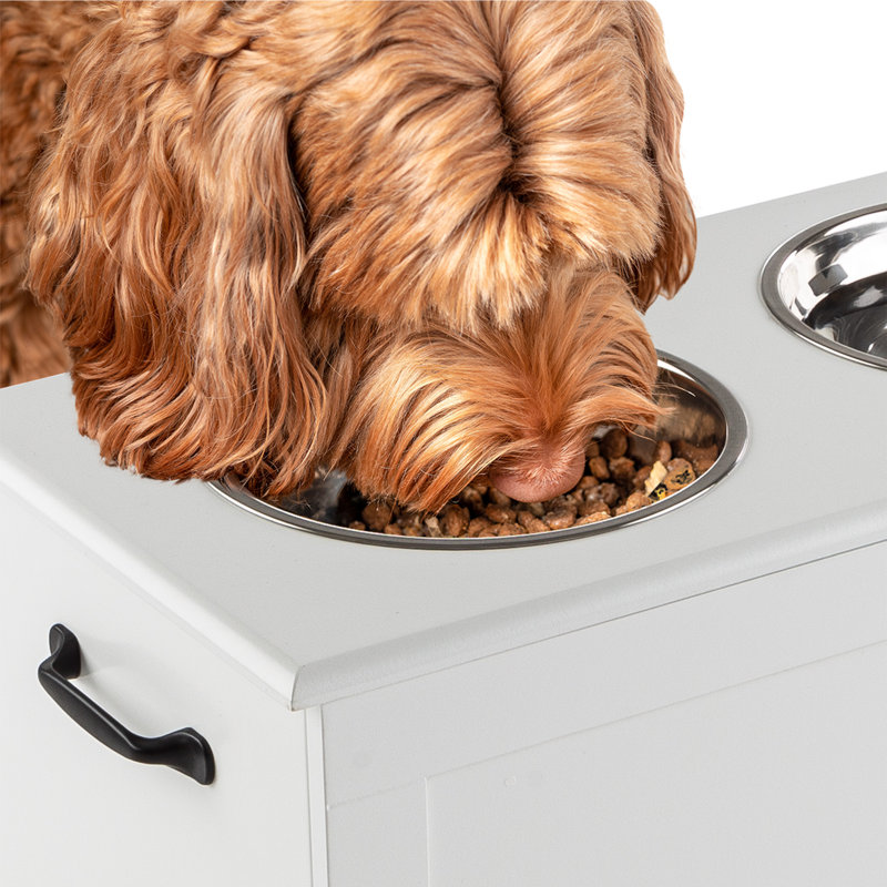 Bols pour chien surélevés avec rangement PETMAker, blanc