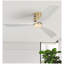 Ventilateur de plafond à profil bas 52 pouces DC 3 sculpté ventilateur de bois lame silencieuse télécommande du moteur sans lumière-579959186-579959144