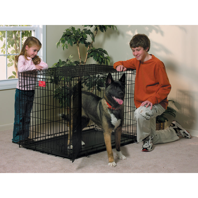 Caisse pour animaux, Petit (H 19 po x l 24 po x P 18 po)