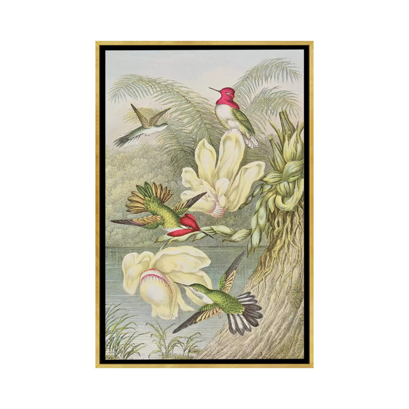 «Humming Birds parmi les fleurs tropicales» par English School - impression d'art graphique, H 40 po x l 26 po x P 1,5 po