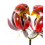 Piquet de jardin Laibaa
