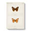 Buckeye Butterfly by S.F. Denton - Wrapped Canvas-55362456