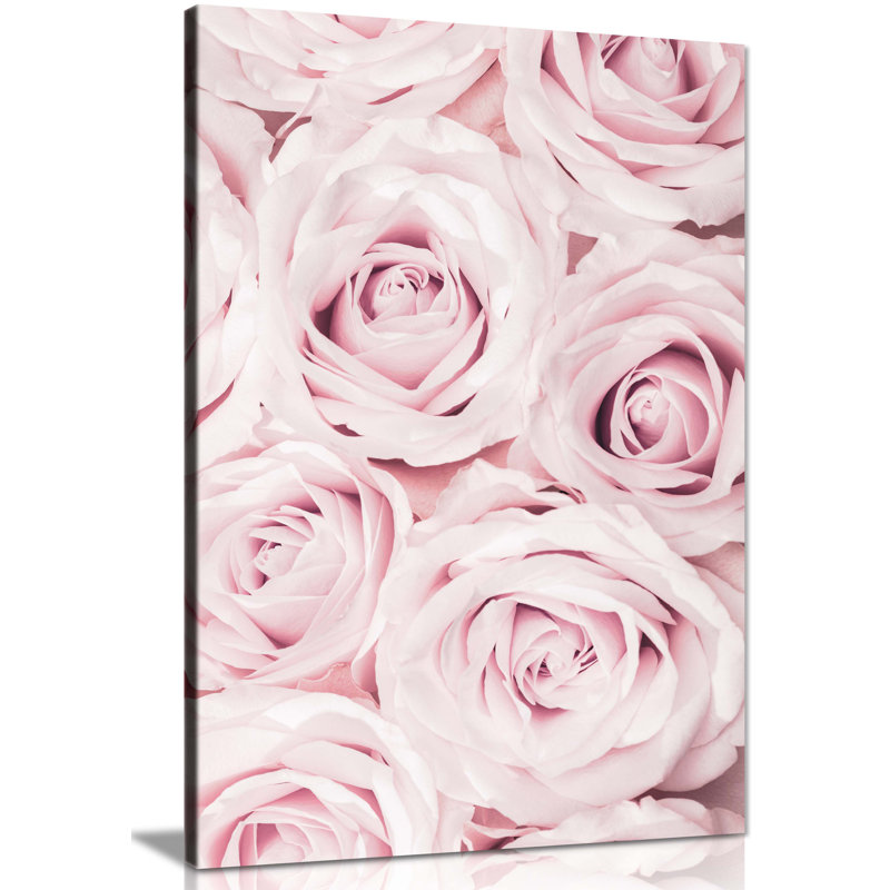 Pastel Pink Roses Close Up - Wrapped Canvas Print, 46cm H x 31cm W x 1.8cm D