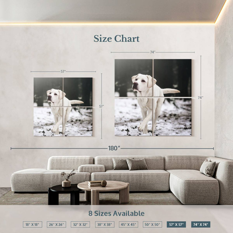 Brampt Labrador Retriever, H 57 po x l 57 po