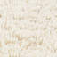 Noely Hand-Woven Cream Area Rug-846754080