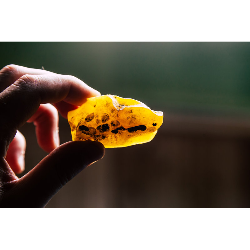 Hand Holding Amber by Zapikanstudio - Wrapped Canvas Print, 30cm H x 46cm W x 3.8cm D