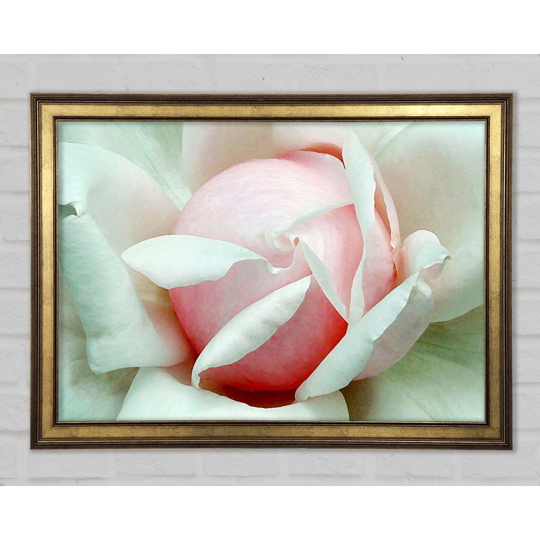 Soft Pink Rose Bud - Einzelner Bilderrahmen Kunstdrucke