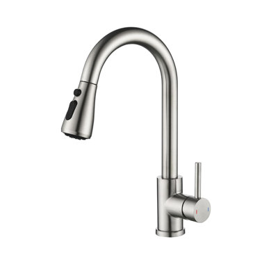 Belfry Kitchen Pull Out Kitchen Faucet