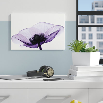 " Anemone II " by Robert Coop