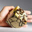Polished Septarian Cube from Madagascar (2 Lbs)-690254745-690254744