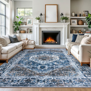 Jodhveer Area Rug Washable Rug Non-Slip Backing Indoor Rugs 