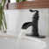 Single-Hole Single-handle Bathroom Faucet with Drain Assembly